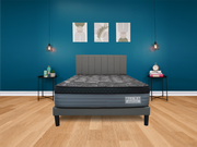 Raptor Mattress